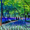 태화강 철새공원 이미지