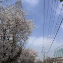 분당대학약국 - 강남구 학동로 433 | 동탄제일병원→분당서울대 전원, 진료비 ( 일란성 쌍둥이 )