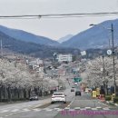 삼장매운탕 이미지