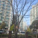 아가페평생교육원 이미지