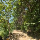 지곡리 등산로 | [경북문경] 주흘산(51/100) : 월복사 지곡리 코스 최단코스 블랙야크 100대 명산