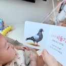 옹알옹알 네이버블로그