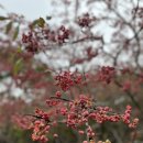 단양충전소 이미지