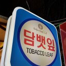 네이처시가 이미지