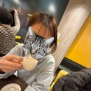 야시홈갤러리 이미지