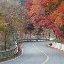 경춘선 자전거도로16 이미지