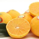 원 농장 이미지