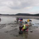 하도어촌체험휴양마을 이미지