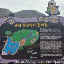 쑥부쟁이(용산저수지)둘레길 | 음성 용산저수지 쑥부쟁이 둘레길