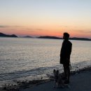 위드독애견스파풀빌라 이미지