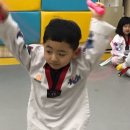 서초용인대태권도 이미지