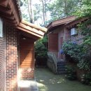 나리와꽃창포 이미지