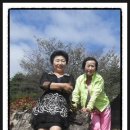 신선농원 이미지