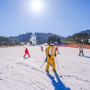 주)용평리조트 드래곤프라자 | 용평 리조트 스키장 렌탈샵 레인보우 추천