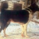 이규철농장 이미지