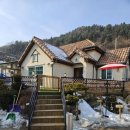 달리애견 이미지