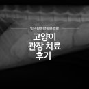 과천우주동물병원 | 고양이 변비, 관장 치료 후기. 과천동물병원