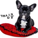 송정이용원 이미지
