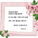 마리아수녀회 60주년 미사 초대 합니다 . 이미지