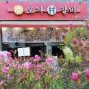 오가촌갈비 이미지