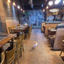 평택5로20번길 | 평택 삼겹살 맛집 고기 질이 너무 좋은 돌풍 평택시청점 평택 고기집 다녀온 솔직 후기