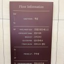 청담쎄븐골프죤 네이버블로그