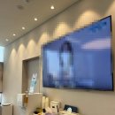 펫나라 | 강남 지방분해주사 제로펫주사 1회차 후기