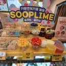놀숲다산