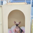 멍아지트 이미지