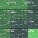 다시5일시장 이미지