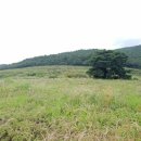 안동목장 이미지