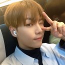 뮤게(muguet) 이미지