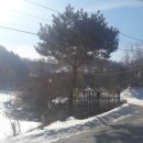 민영이네 민박 이미지