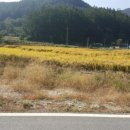 금왕보건진료소 이미지