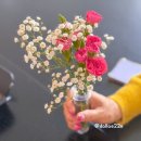 71 | 재벌가 여름별장을 카페로? 남양주 대형카페 아유 스페이스 #내돈내산 후기