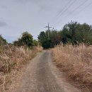 하천리-7 이미지