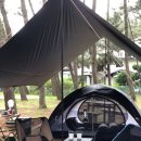 몽산포자동차야영장 이미지