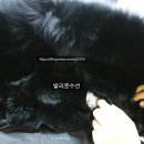 발리옷수선 이미지