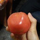 화정헬스 이미지