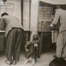 나라 최초의 근대적 민주선거 이미지