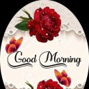 신서귀포 이미지