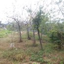 포항시북구42 이미지