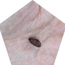 마음챙김 요가&명상 | 명상 및 마음챙김 연수 체험 후기