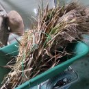 북평면주민자치센터 이미지