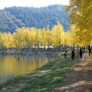 소금랜드 이미지