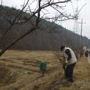 복사꽃피는마을 이미지