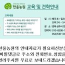 국광 사과 묘목 / 펌글 이미지