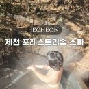 포레스트리솜 | 제천 헤브나인스파 가격 할인 포레스트리솜 온천 준비물 후기