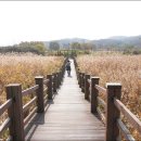 갈대습지공원 이미지