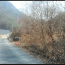 무릉도원면-46 이미지